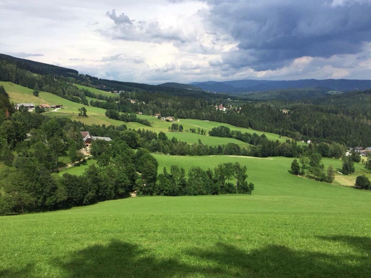 Villa Glückliche Elfen Sankt Kathrein am Hauenstein Exterior foto