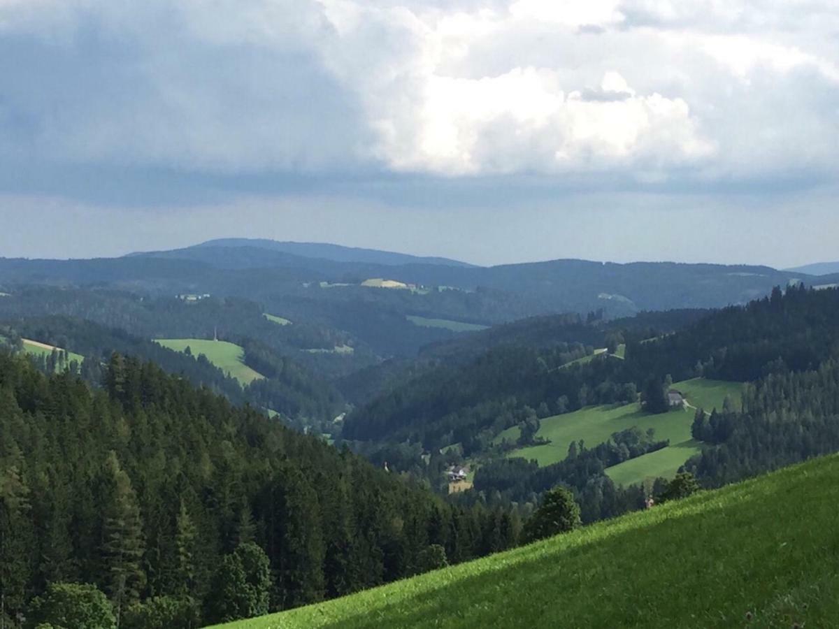 Villa Glückliche Elfen Sankt Kathrein am Hauenstein Exterior foto